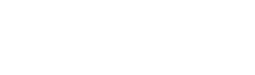 Wavemyth Solutions Logo